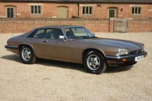 JAGUAR XJS V12 HE COUPE - 1984 - 19,000 MILES FROM NEW FSH - PRISTINE CONDITION Photo
