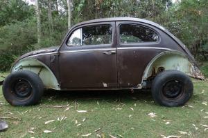 VW Beetle in NSW Photo