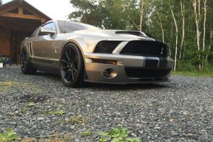 Ford: Mustang GT1000R Photo