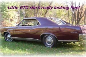 Pontiac: GTO GTO Photo