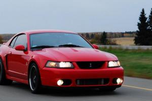 Ford: Mustang Photo