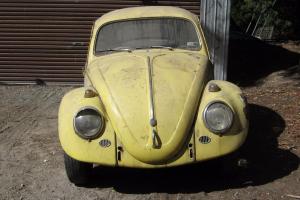 VW Beetle 65 Model Excellent Starter Project in VIC Photo