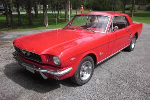 Ford: Mustang Pony