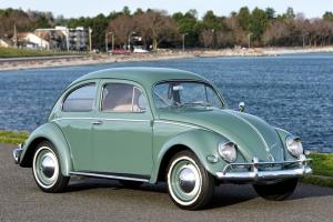 Volkswagen: Beetle - Classic Oval Window Bug