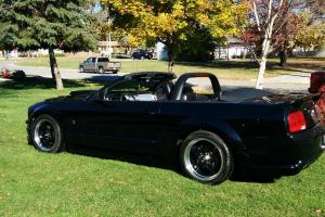 Ford: Mustang GT Photo