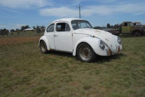 VW Beetle 1964 Photo
