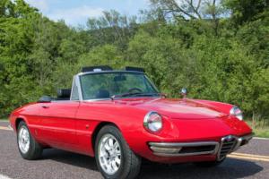 1967 Alfa Romeo Duetto Photo