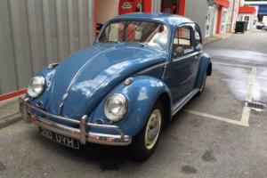 1959 fully restored vw beetle back to stock original!rare investment opportunity Photo