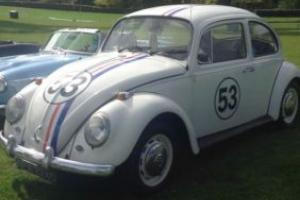 volkswagen classic beetle Photo