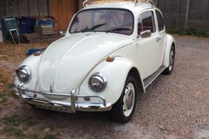VW Volkswagen Classic Beetle Photo