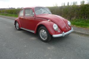 67 VW Beetle UK RHD 1500 - 1 owner from new !!, fantastic patina, future classic