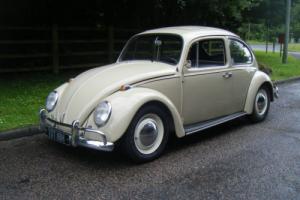 1967 vw classic beetle very rare factory sunroof edition Photo