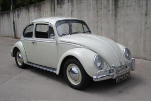 Volkswagen Beetle-RHD -Immaculate recent restoration