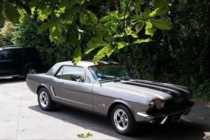 1965 FORD MUSTANG Photo