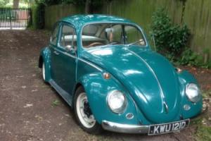 VW Beetle 1966 Photo
