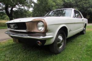 1965 FORD MUSTANG COUPE 6 CYL PROJECT CAR CLASSIC AMERICAN 289 302 Photo
