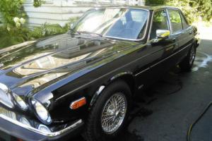 1984 Jaguar XJ6 Photo