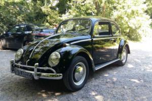 VW Beetle 1300cc 1966 Photo