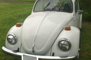 1972 Volkswagen Beetle - Classic Bettle Classic Photo