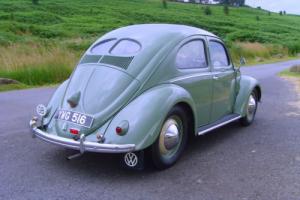 1951 Split Rear Window Beetle