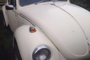 VW Beetle 1971 Photo