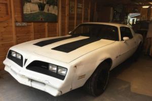 Pontiac Firebird V8 American Classic Muscle Project Car / Barn Find - NO RESERVE Photo