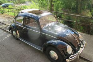 1958 Volkswagen Beetle ragtop, sliding sunroof non oval window