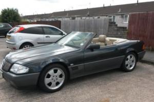 Mercedes 300SL 24 R129 Amg alloys Hard & Soft Top Private plate May take part ex Photo
