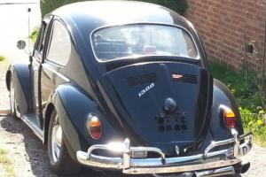 1965 VW Bug Photo