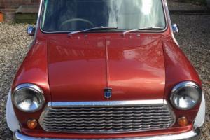 Classic Mini Special