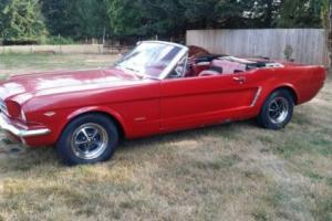1965 Ford Mustang