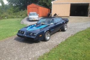 1981 Pontiac Firebird Photo