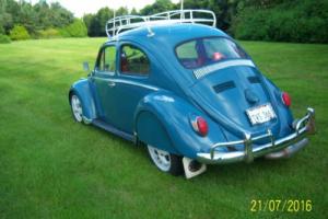 classic vw beetle Photo