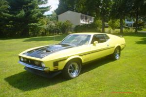 1971 Ford Mustang boss 351 Photo