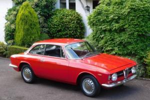 Alfa Romeo Giulia GT Junior Scalino ‘Stepnose’ LHD / 1967 / Restored in Italy!