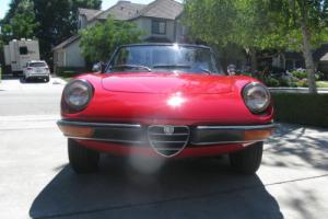 1971 Alfa Romeo Spider Photo