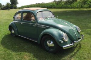1957 Volkswagen Beetle - Classic Ragtop Photo