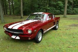1966 Ford Mustang --- Photo
