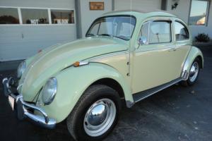 1966 Volkswagen Beetle - Classic Ragtop VW Photo
