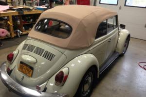 1970 Volkswagen Beetle - Classic bug
