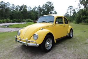 1967 Volkswagen Beetle - Classic Vw 1600cc (Video Inside) 77+ Pics FREE SHIPPING Photo