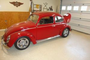 1964 Volkswagen Beetle - Classic bug