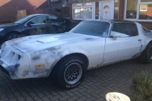 Rare Firebird Restoration