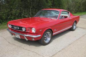 1966 Mustang Fastback "A" Code V8 Four speed Photo