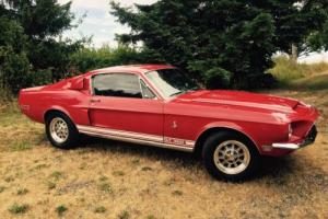 1968 Shelby GT 350 GT350 Photo
