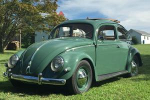 1957 Volkswagen Beetle - Classic Photo