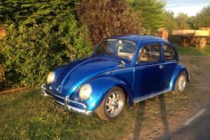1976 VOLKSWAGEN 1600 twin carb BEETLE BLUE Photo