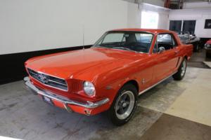 1965 Ford Mustang None Photo