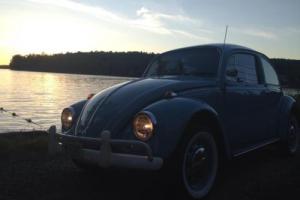 1967 Volkswagen Beetle - Classic Photo