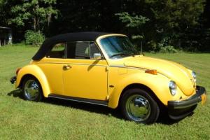 1979 Volkswagen Beetle - Classic Karmann Photo